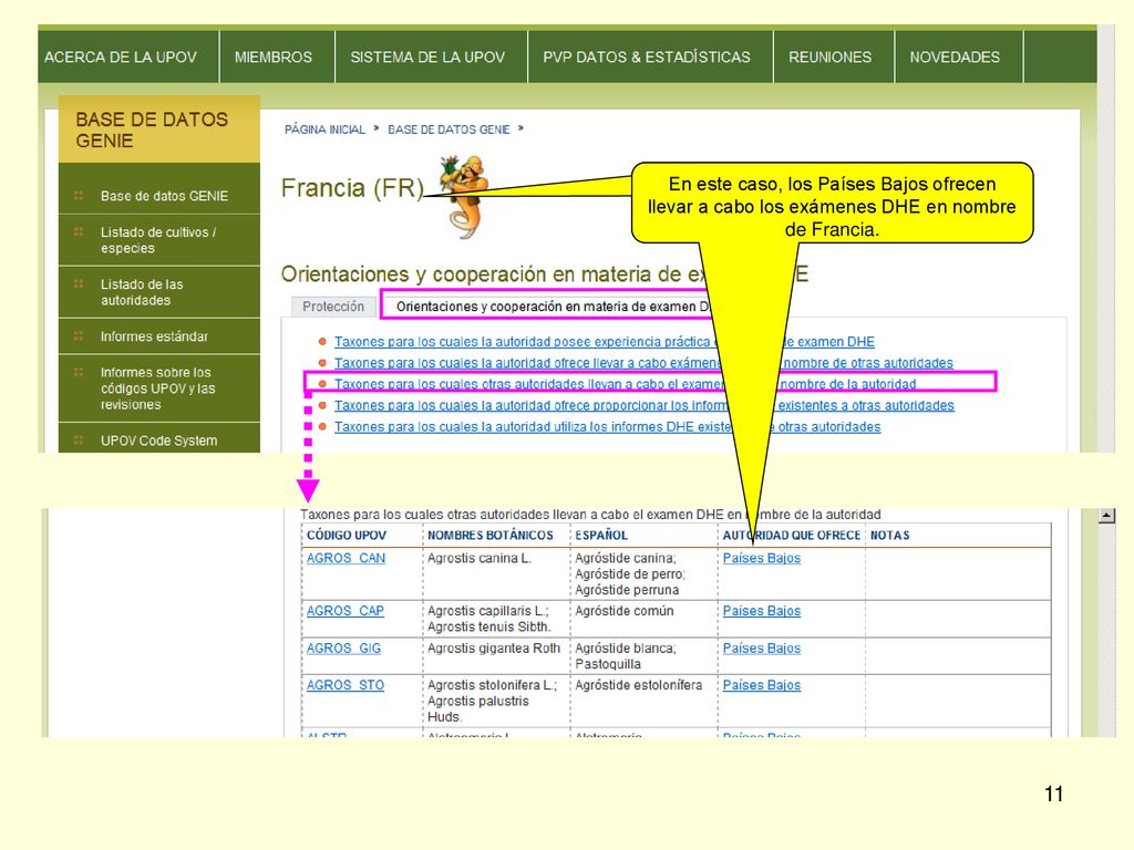 En este caso, los Países Bajos ofrecen llevar a cabo los exámenes DHE en nombre de Francia.