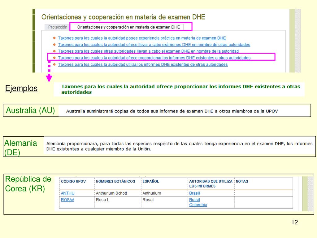 Ejemplos Australia (AU) Alemania (DE) República de Corea (KR)