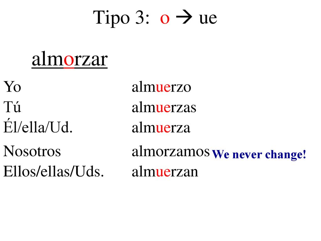 almorzar Tipo 3: o  ue Yo almuerzo Tú almuerzas Él/ella/Ud. almuerza