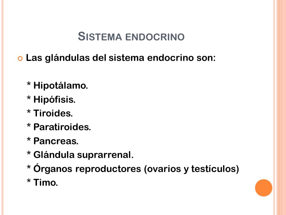 Sistema endocrino Las glándulas del sistema endocrino son: