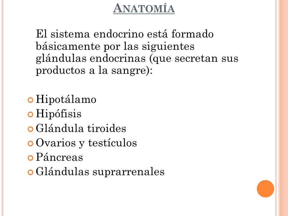 Anatomía El sistema endocrino está formado básicamente por las siguientes glándulas endocrinas (que secretan sus productos a la sangre):