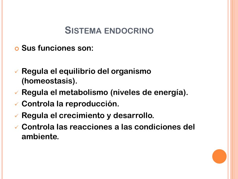 Sistema endocrino Sus funciones son: