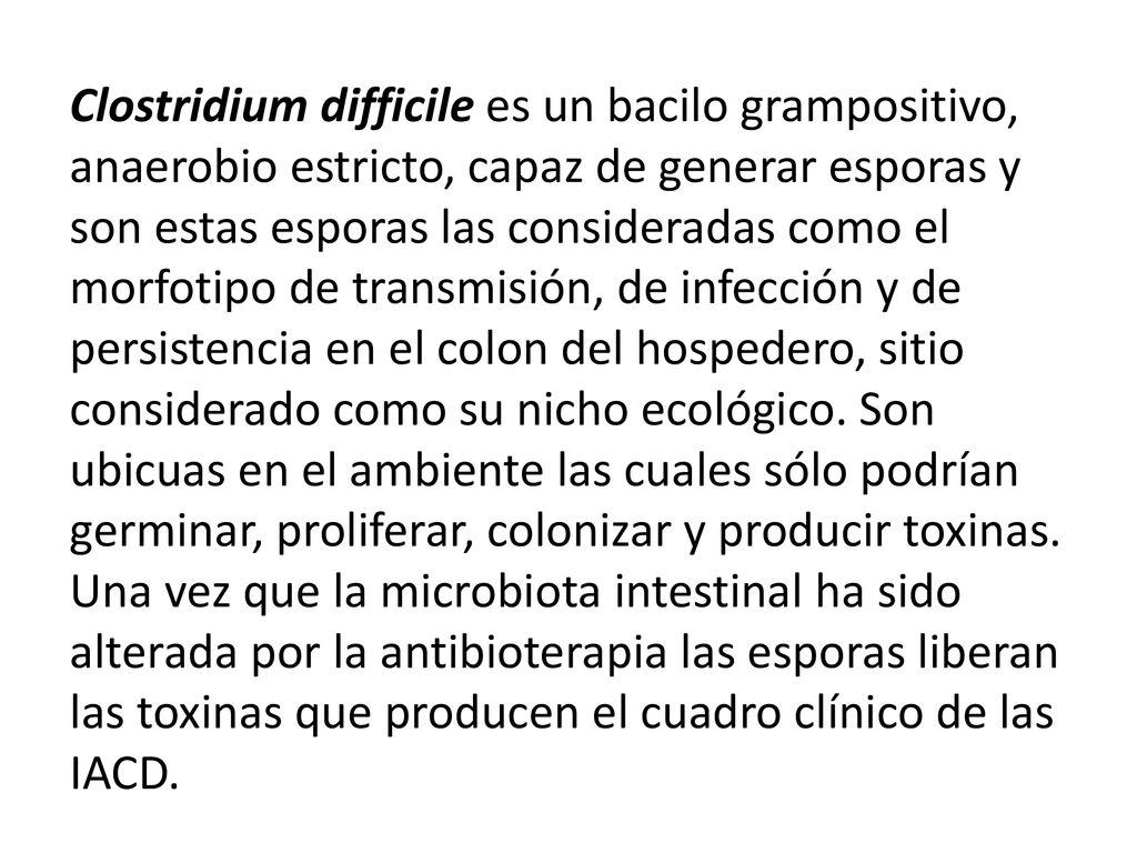 Clostridium difficile es un bacilo grampositivo, anaerobio estricto, capaz de generar esporas y son estas esporas las consideradas como el morfotipo de transmisión, de infección y de persistencia en el colon del hospedero, sitio considerado como su nicho ecológico.