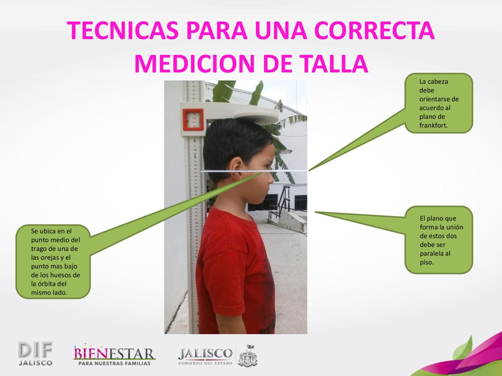 TECNICAS PARA UNA CORRECTA MEDICION DE TALLA
