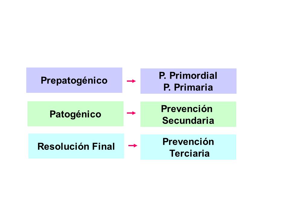 P. Primordial P. Primaria Prevención Secundaria