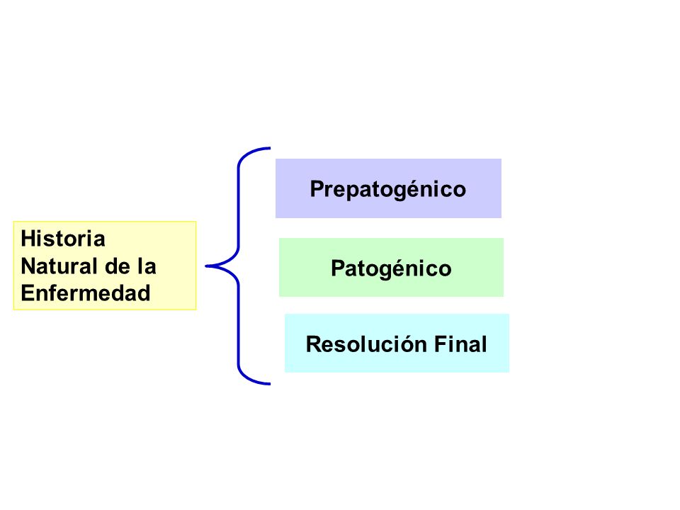 Prepatogénico Historia Natural de la Enfermedad Patogénico Resolución Final