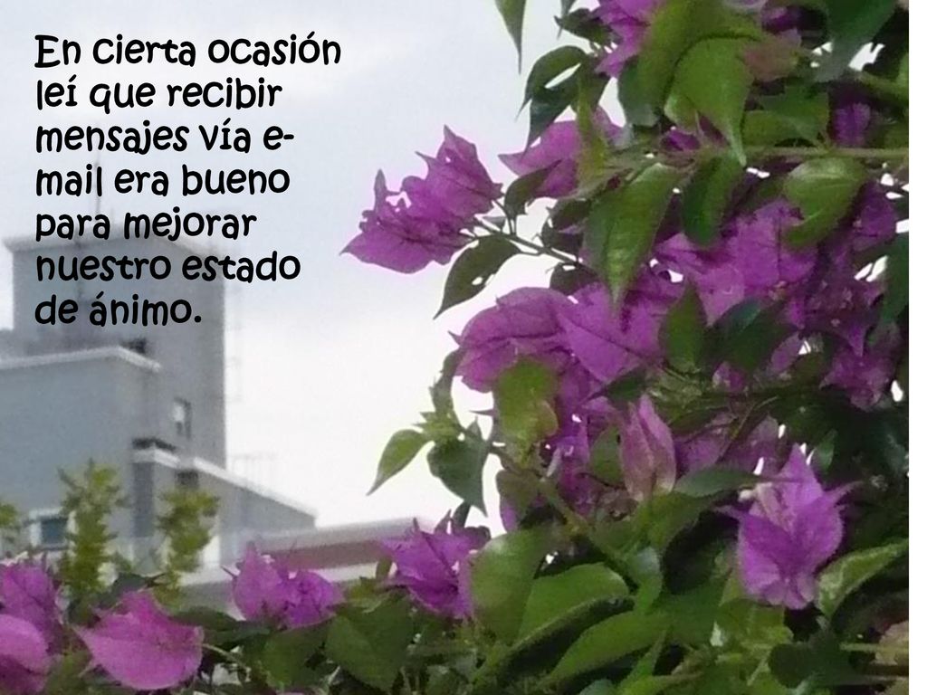 En cierta ocasión leí que recibir mensajes vía  era bueno para mejorar nuestro estado de ánimo.