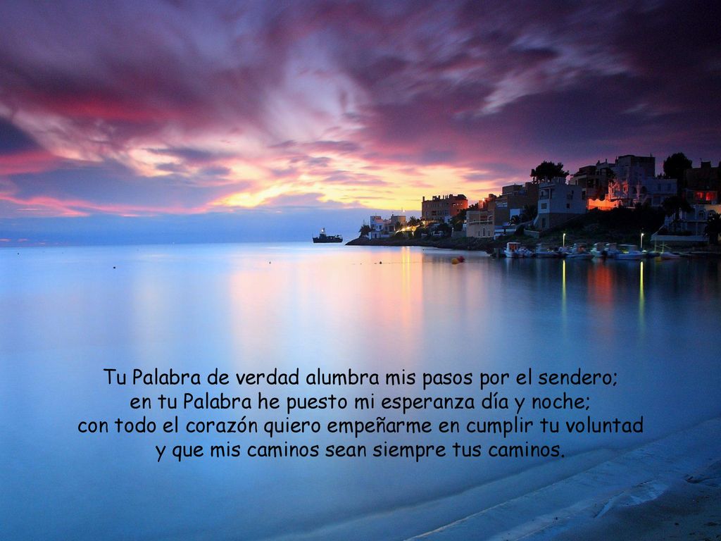Tu Palabra de verdad alumbra mis pasos por el sendero;