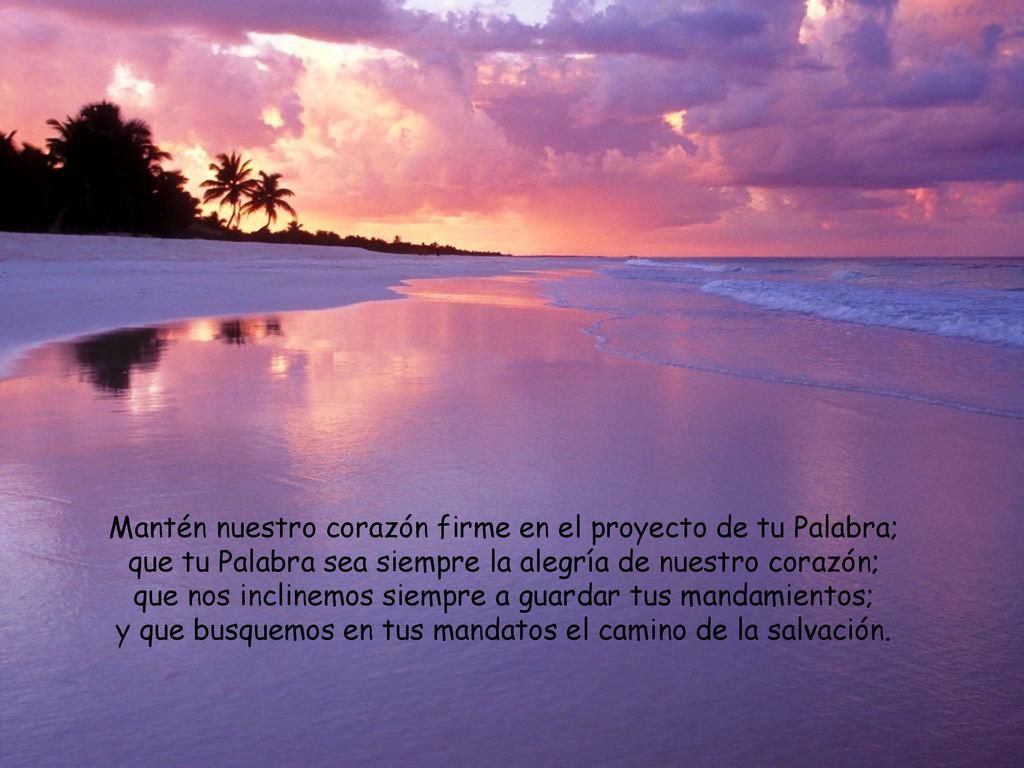 Mantén nuestro corazón firme en el proyecto de tu Palabra;