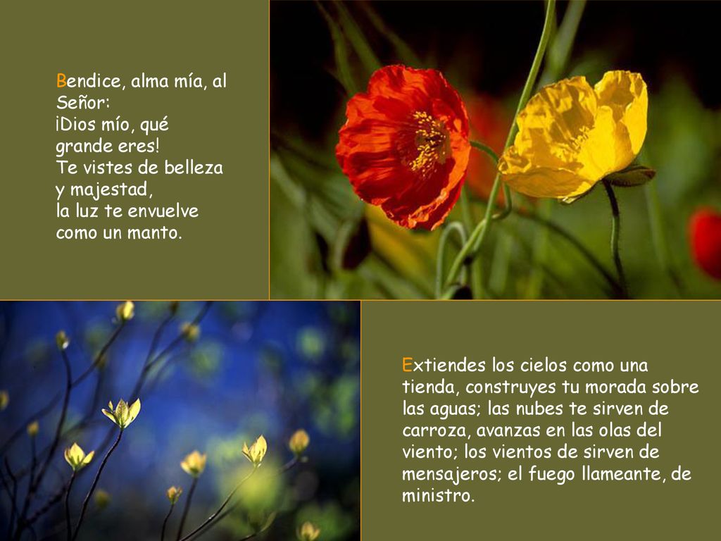 Bendice, alma mía, al Señor: ¡Dios mío, qué grande eres