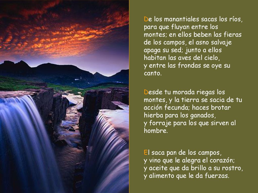 De los manantiales sacas los ríos, para que fluyan entre los montes; en ellos beben las fieras de los campos, el asno salvaje apaga su sed; junto a ellos habitan las aves del cielo, y entre las frondas se oye su canto.