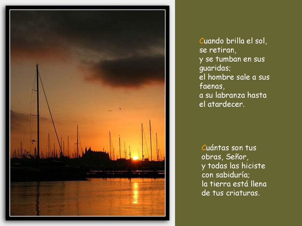 Cuando brilla el sol, se retiran, y se tumban en sus guaridas; el hombre sale a sus faenas, a su labranza hasta el atardecer.