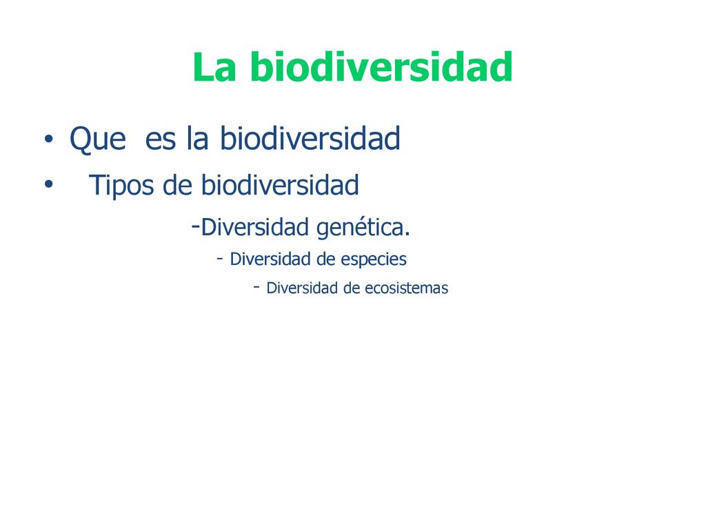 La biodiversidad Que es la biodiversidad Tipos de biodiversidad