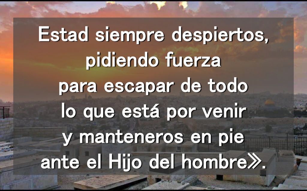 Estad siempre despiertos, pidiendo fuerza para escapar de todo lo que está por venir y manteneros en pie ante el Hijo del hombre».