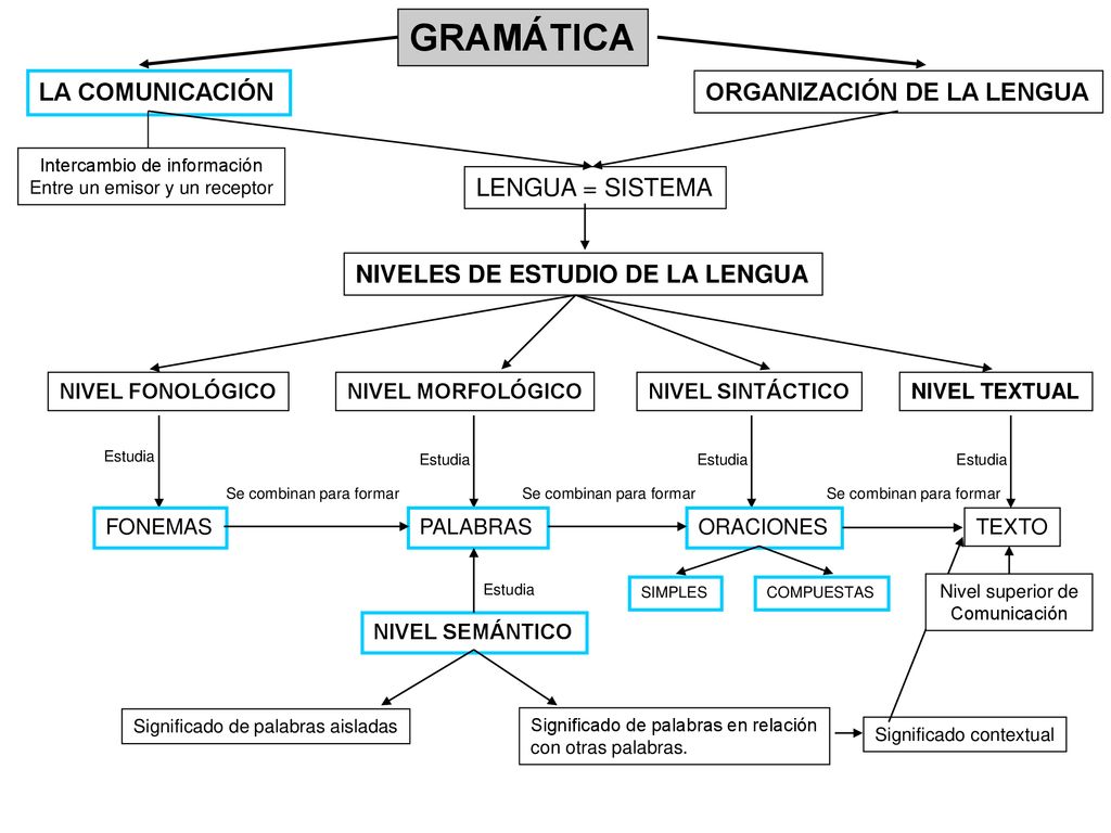 GRAMÁTICA LA COMUNICACIÓN ORGANIZACIÓN DE LA LENGUA LENGUA = SISTEMA