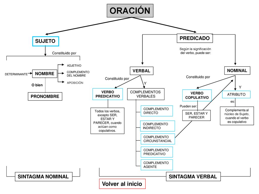 ORACIÓN Volver al inicio PREDICADO SUJETO SINTAGMA NOMINAL