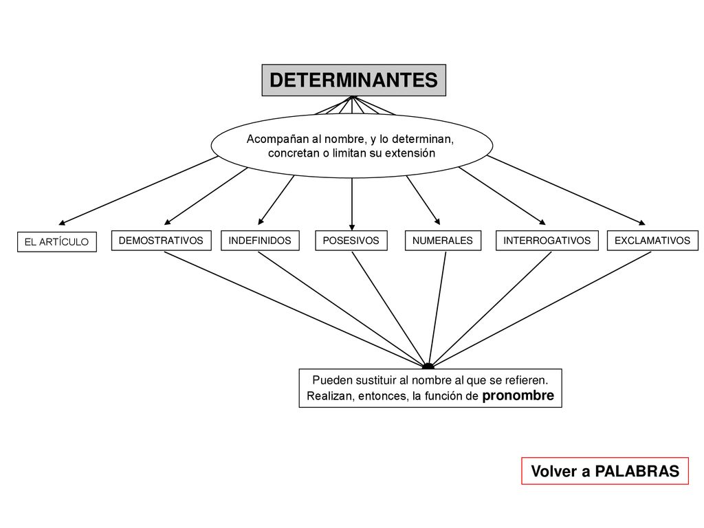 DETERMINANTES Volver a PALABRAS Acompañan al nombre, y lo determinan,
