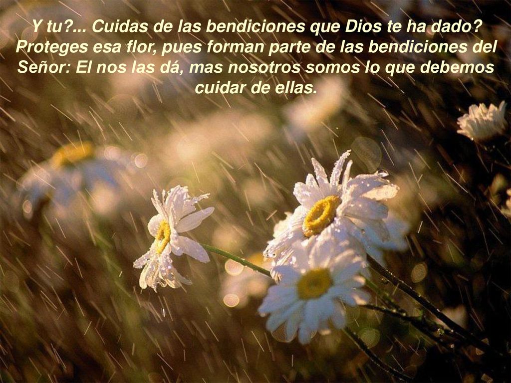 Y tu. Cuidas de las bendiciones que Dios te ha dado