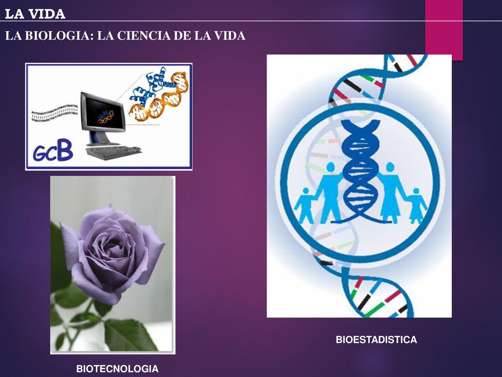LA VIDA LA BIOLOGIA: LA CIENCIA DE LA VIDA BIOINFORMATICA