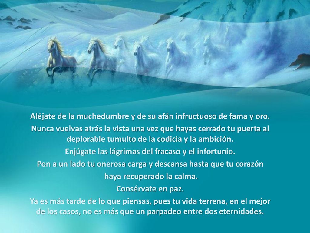Aléjate de la muchedumbre y de su afán infructuoso de fama y oro.