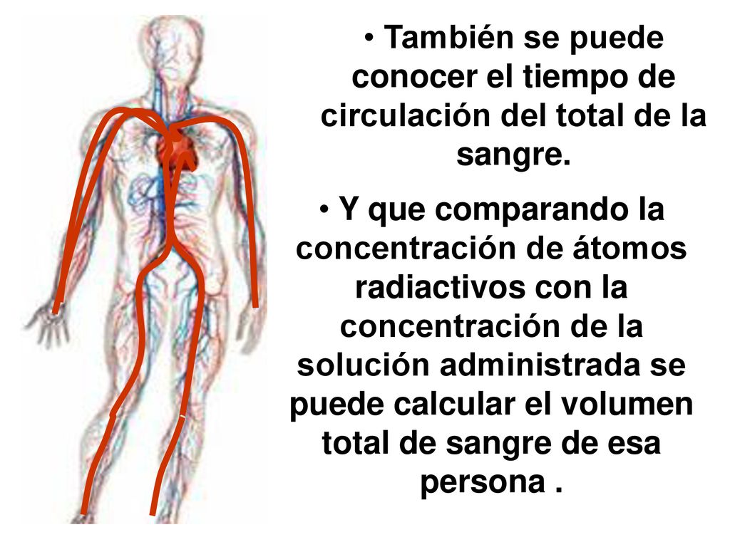 También se puede conocer el tiempo de circulación del total de la sangre.