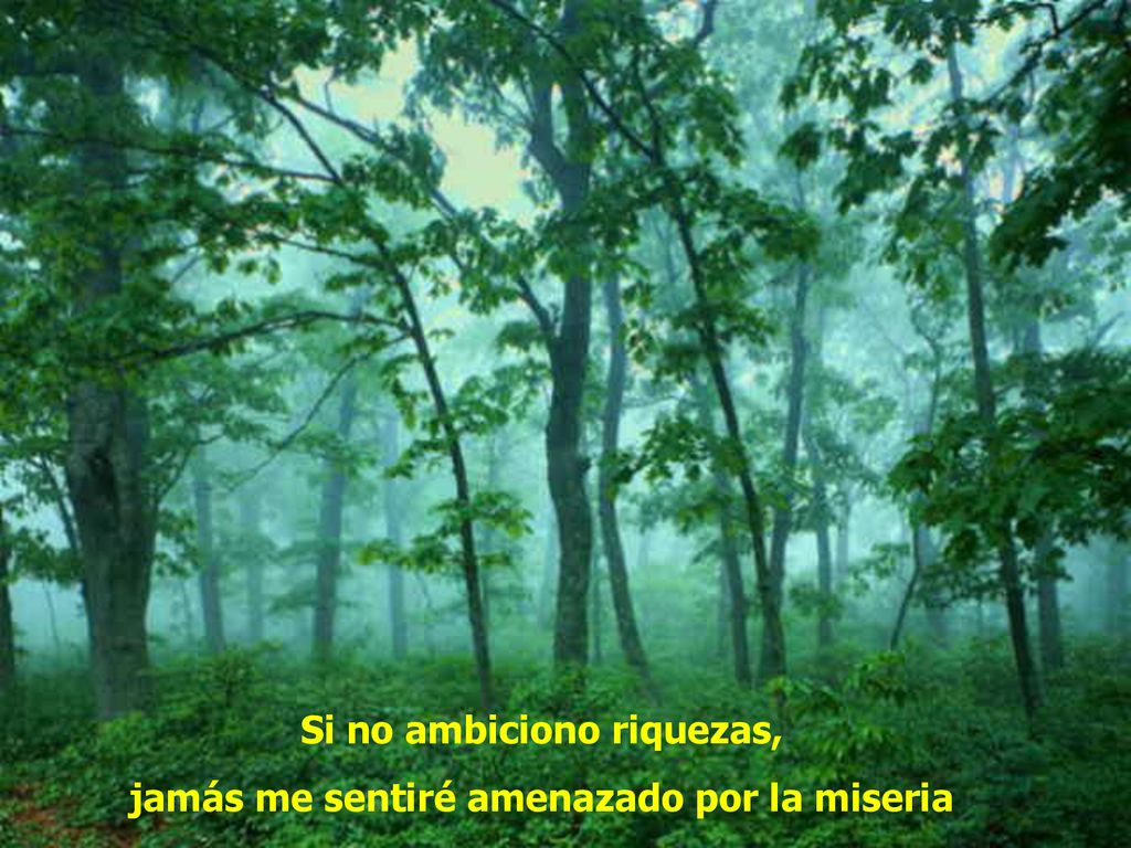 Si no ambiciono riquezas, jamás me sentiré amenazado por la miseria