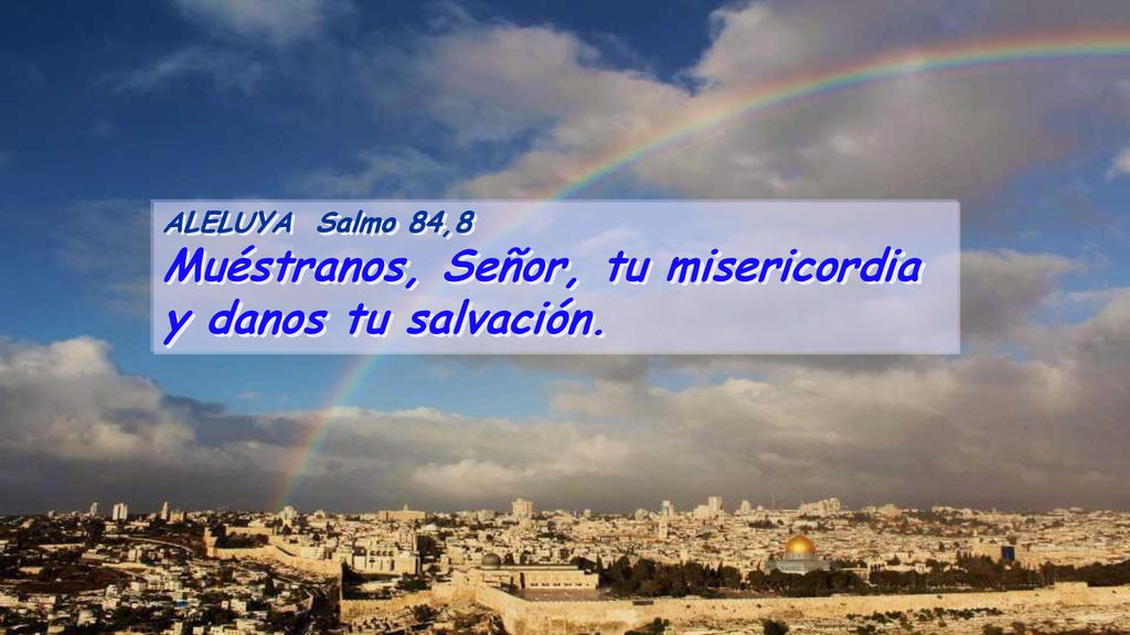 Muéstranos, Señor, tu misericordia y danos tu salvación.