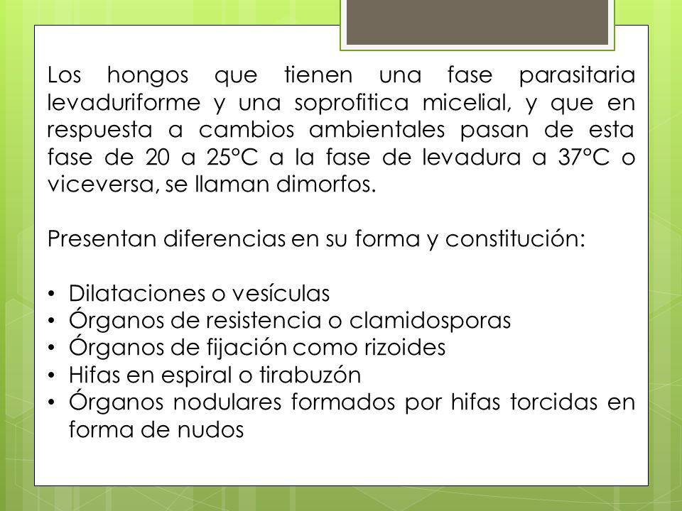 Los hongos que tienen una fase parasitaria levaduriforme y una soprofitica micelial, y que en respuesta a cambios ambientales pasan de esta fase de 20 a 25°C a la fase de levadura a 37°C o viceversa, se llaman dimorfos.