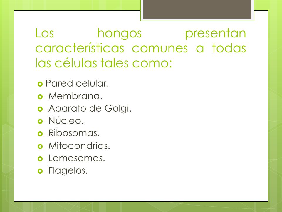 Los hongos presentan características comunes a todas las células tales como: