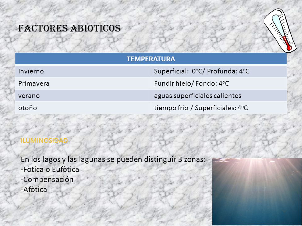 FACTORES ABIOTICOS TEMPERATURA. Invierno. Superficial: 0oC/ Profunda: 4oC. Primavera. Fundir hielo/ Fondo: 4oC.
