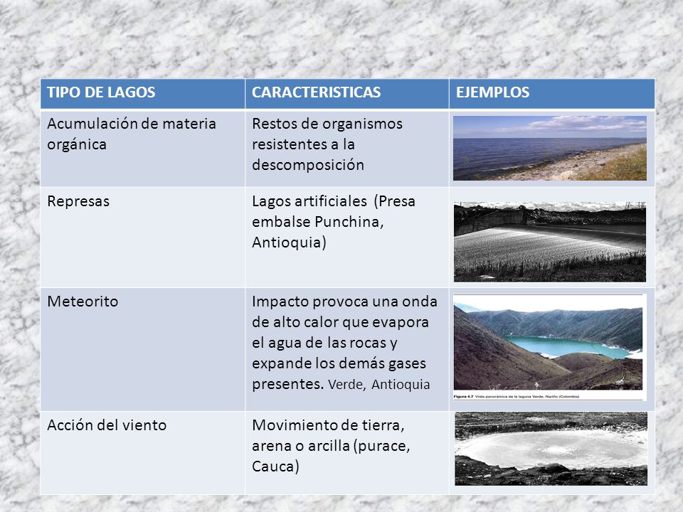 TIPO DE LAGOS CARACTERISTICAS. EJEMPLOS. Acumulación de materia orgánica. Restos de organismos resistentes a la descomposición.