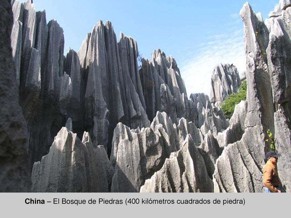 China – El Bosque de Piedras (400 kilómetros cuadrados de piedra)