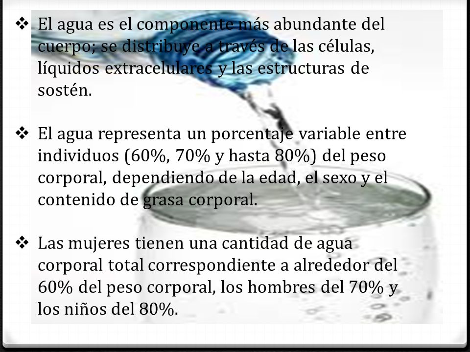 El agua es el componente más abundante del cuerpo; se distribuye a través de las células, líquidos extracelulares y las estructuras de sostén.