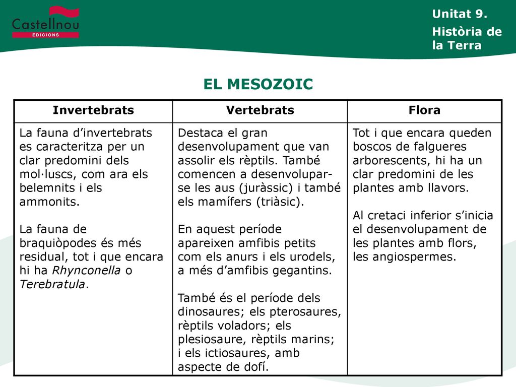 EL MESOZOIC Unitat 9. Història de la Terra Invertebrats Vertebrats