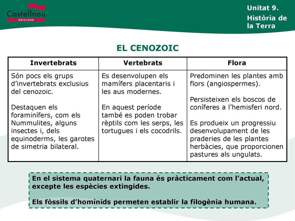 EL CENOZOIC Unitat 9. Història de la Terra Invertebrats Vertebrats
