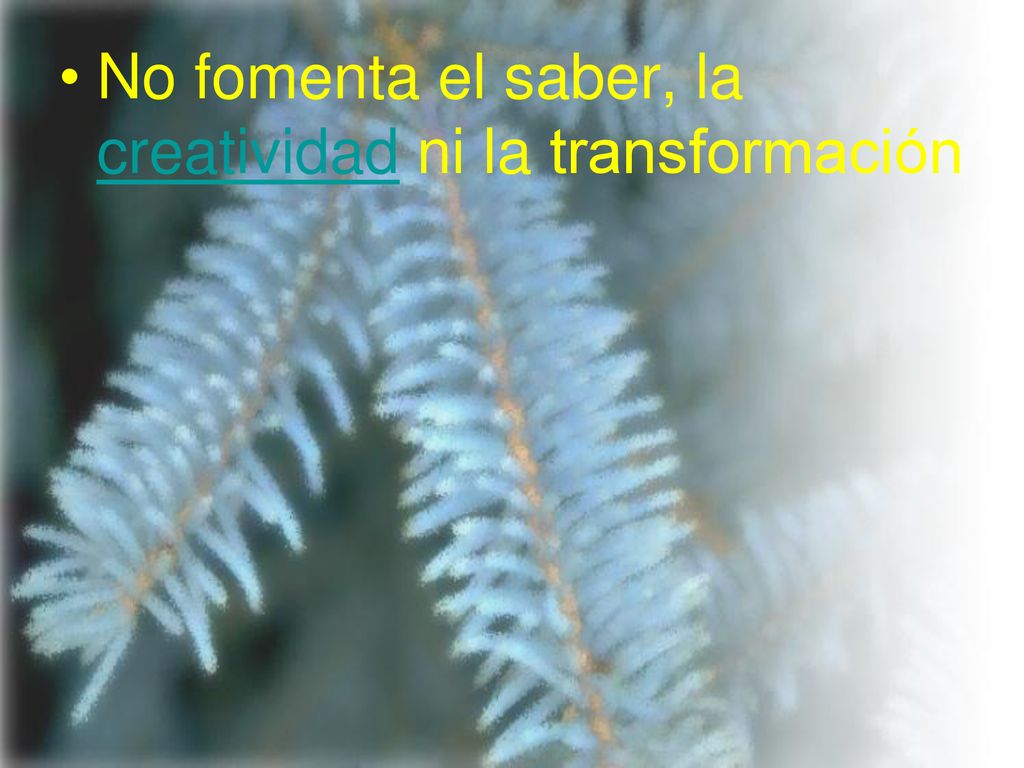 No fomenta el saber, la creatividad ni la transformación