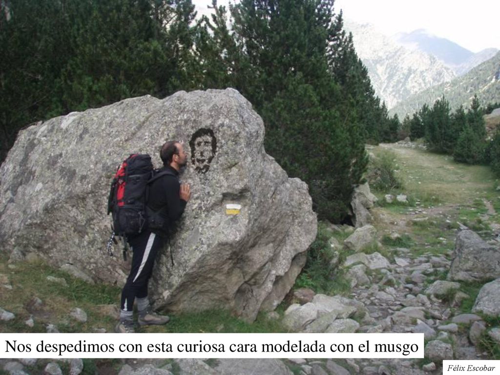 Nos despedimos con esta curiosa cara modelada con el musgo