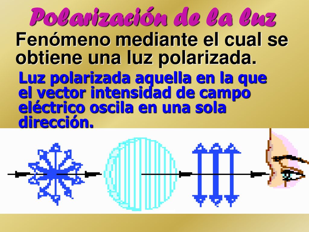 Polarización de la luz Fenómeno mediante el cual se obtiene una luz polarizada.