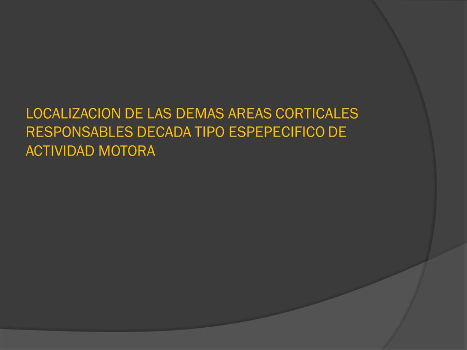 LOCALIZACION DE LAS DEMAS AREAS CORTICALES RESPONSABLES DECADA TIPO ESPEPECIFICO DE ACTIVIDAD MOTORA