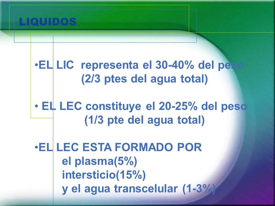 EL LIC representa el 30-40% del peso (2/3 ptes del agua total)
