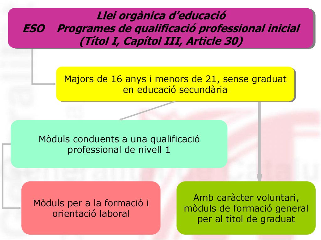Llei orgànica d’educació ESO Programes de qualificació professional inicial (Títol I, Capítol III, Article 30)
