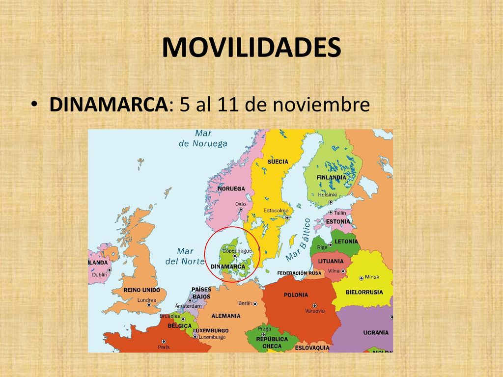 MOVILIDADES DINAMARCA: 5 al 11 de noviembre