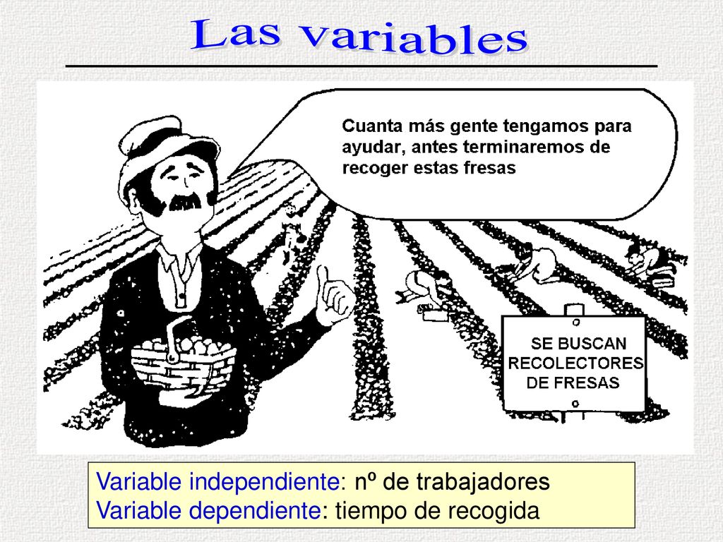 Las variables Variable independiente: nº de trabajadores Variable dependiente: tiempo de recogida.