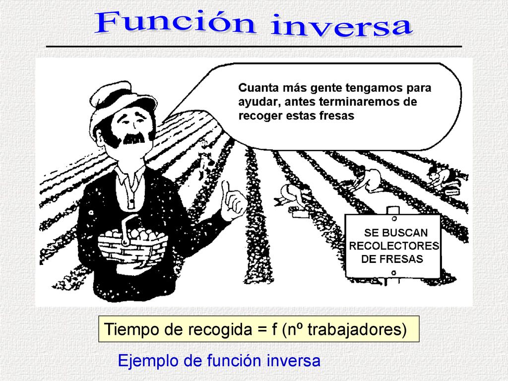 Función inversa Tiempo de recogida = f (nº trabajadores)