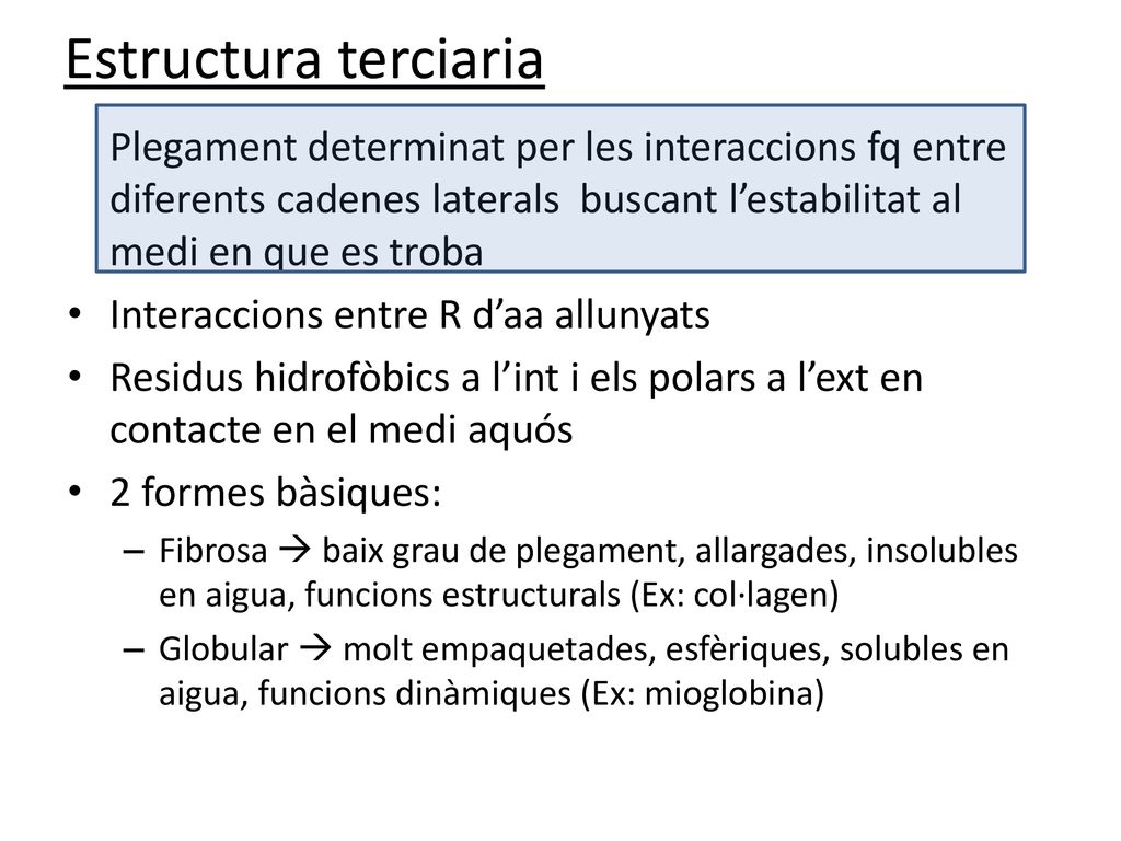 Estructura terciaria Plegament determinat per les interaccions fq entre diferents cadenes laterals buscant l’estabilitat al medi en que es troba.
