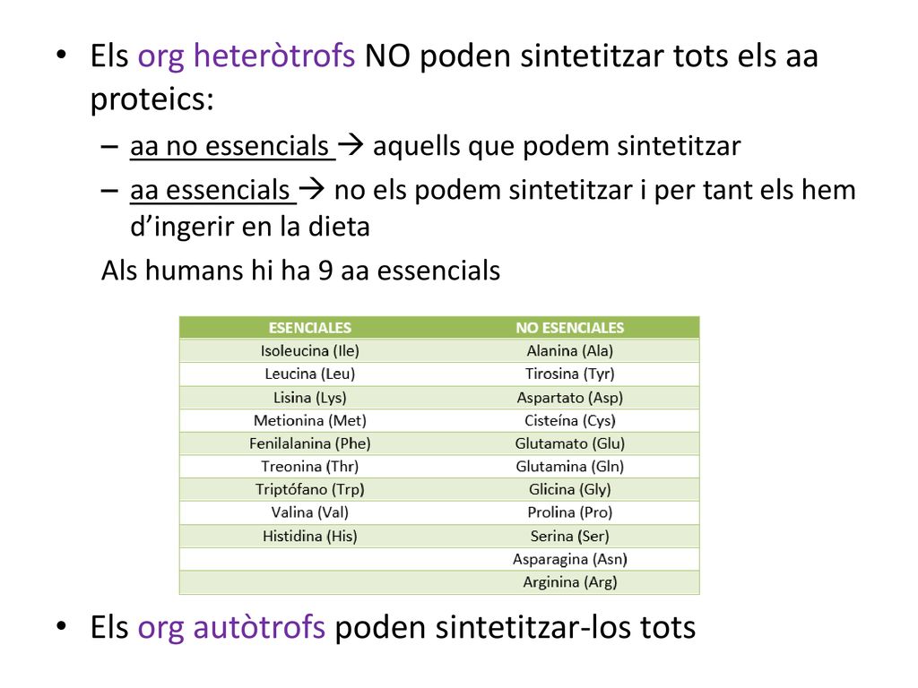 Els org heteròtrofs NO poden sintetitzar tots els aa proteics: