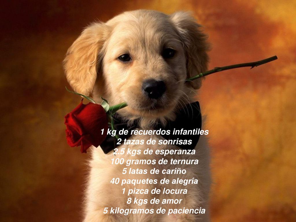 1 pizca de locura 8 kgs de amor 5 kilogramos de paciencia