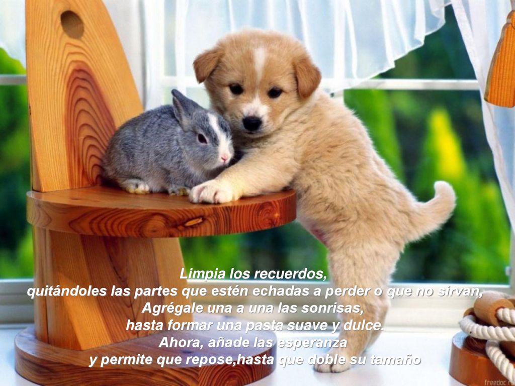 quitándoles las partes que estén echadas a perder o que no sirvan,