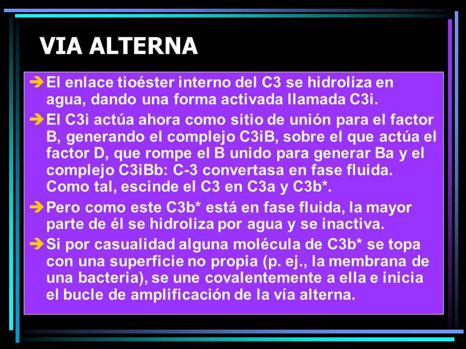 VIA ALTERNA El enlace tioéster interno del C3 se hidroliza en agua, dando una forma activada llamada C3i.