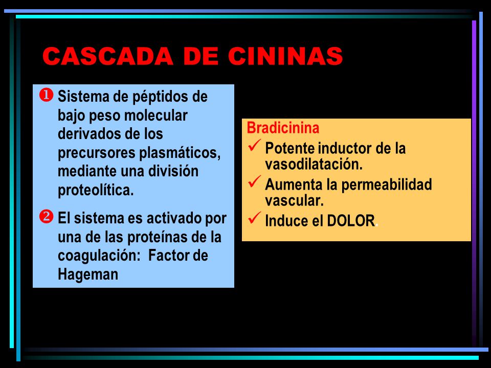 CASCADA DE CININAS Sistema de péptidos de bajo peso molecular derivados de los precursores plasmáticos, mediante una división proteolítica.